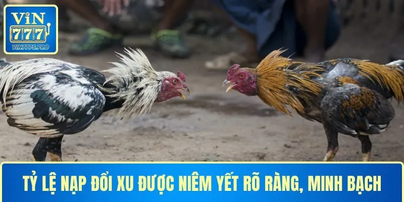 Tỷ lệ nạp đổi xu được niêm yết rõ ràng, minh bạch