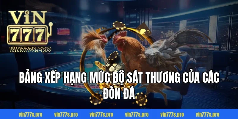 NHỮNG ĐÒN ĐÁ HIỂM CỦA GÀ CHỌI VIN777 KHIẾN ĐỐI THỦ GỤC NGAY 3 Bảng xếp hạng mức độ sát thương của các đòn đá